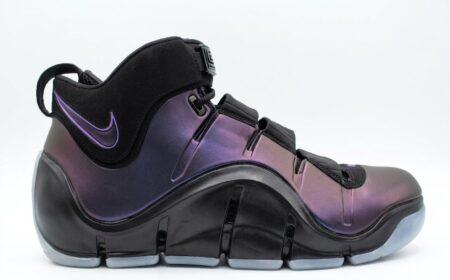 Zoom LeBron 4 ‘Eggplant’